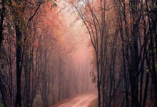 开云体育下载：哈尔滨亚冬会筹办工作进入冲刺阶段2025-01-17.