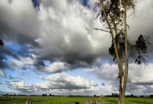 开云体育下载：[NBA]常规赛3月11日：掘金VS雷霆.