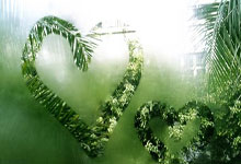 韩旭蝉联WCBA联赛常规赛最有价值球员.