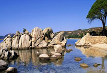 开云体育下载：为何被瑞典老将打的狼狈？对手连续得分，谁注意林高远反应.